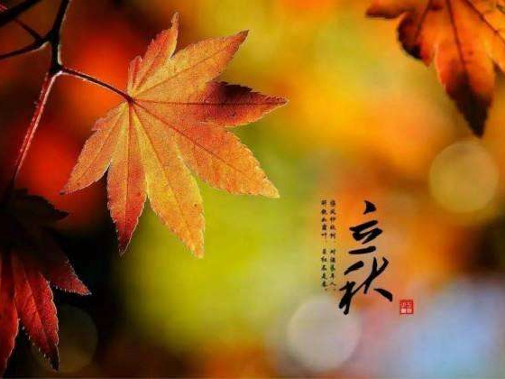 秋來(lái)了，莫慌！智慧主機(jī)依舊值得推薦的